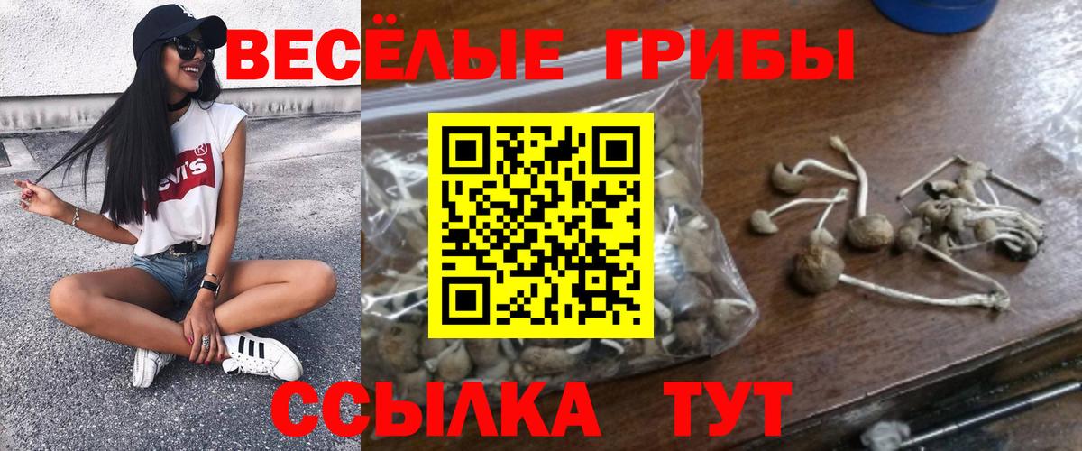 Галлюциногенные грибы мицелий Артёмовский