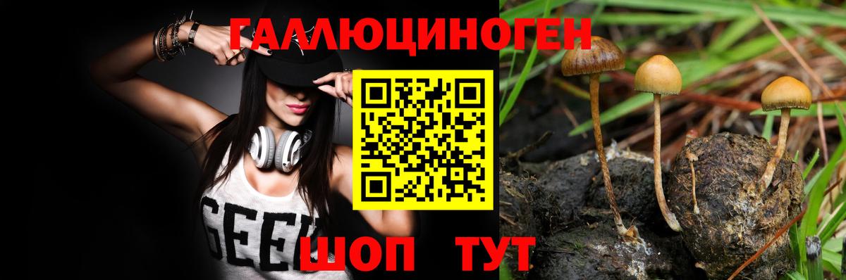 Артёмовский  Псилоцибиновые грибы Cubensis  Вход с VPN 